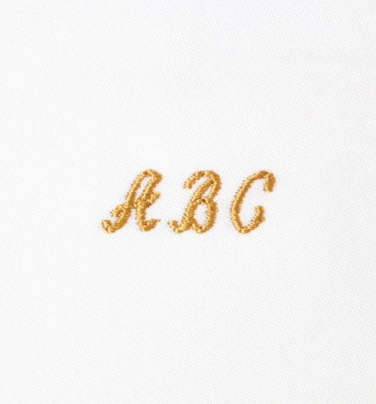 Monogram Styles - Script font